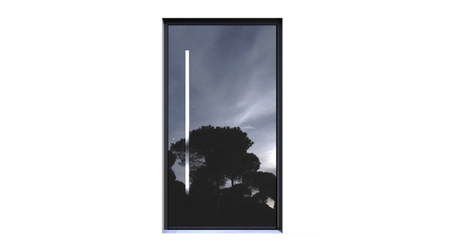 Entrance Doors