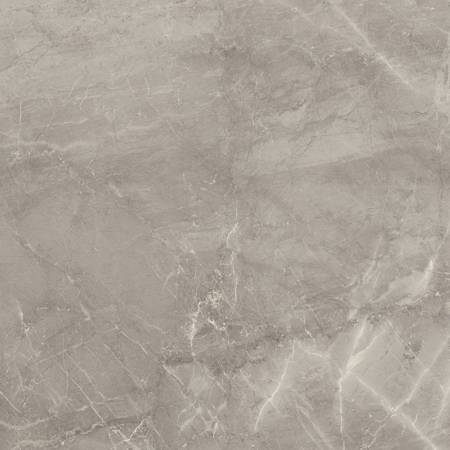 Majestic Supreme Gray 24" x 24" Matt Porcelain Tile