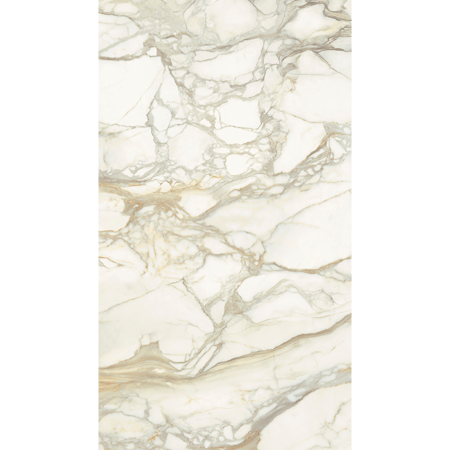 Italian Calacatta Oro Slab, Pre-Polished 59" x 118"