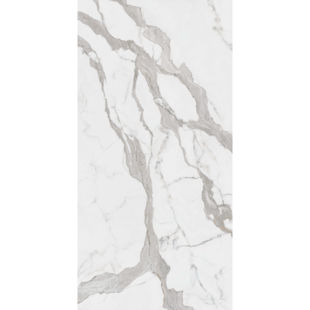 Maestro Bernini Classico Honed 30'' x 30'' Porcelain Tile