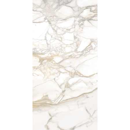 Maestro Bernini Oro Honed 30'' x 60'' Porcelain Tile