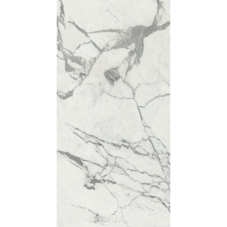 Maestro Statuario White Honed 30'' x 30'' Porcelain Tile