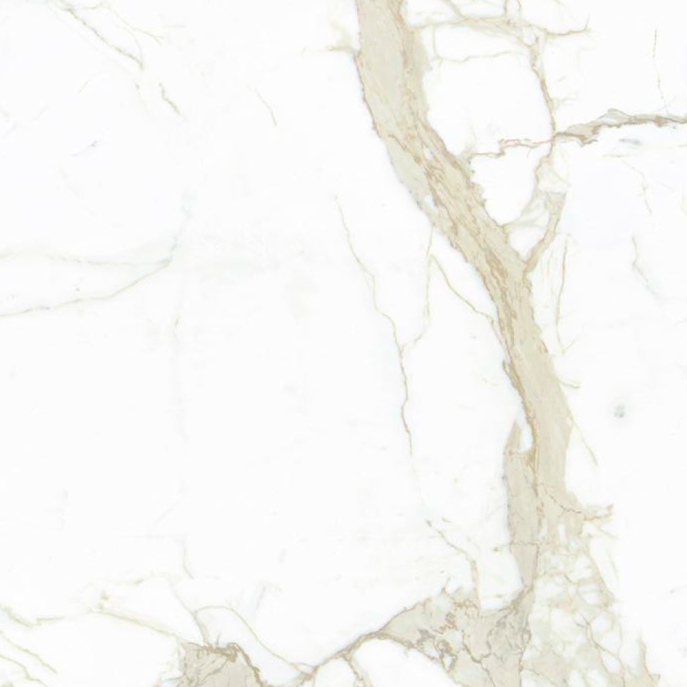 Calacatta White 40" x 40" Bright Porcelain Tile HINTEX Home