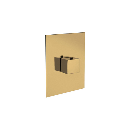 Quadro 3/4" Thermostatic Valve Only in Matt Gold