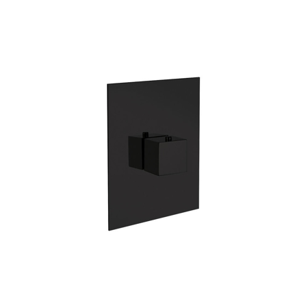 Quadro 3/4" Thermostatic Valve Onlyy in Matt Black