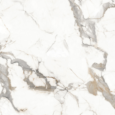 Calacatta Carrara 48'' x 48'' Glossy White Porcelain Tile