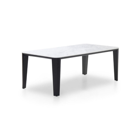 Dining Table V250