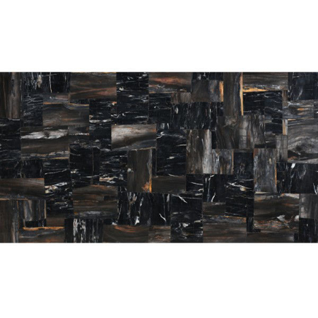 Black Petrified Wood Retro Natural Stone