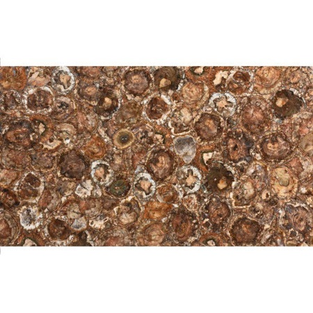 Brown Petrified Wood Retro Natural Stone