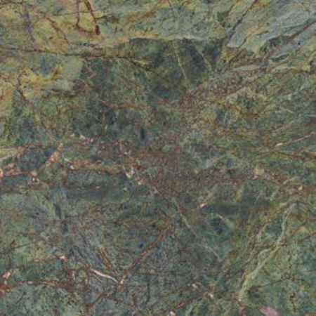 Vivid Green Rainforest Pulido 23.45" x 23.45" Porcelain Tile