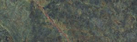 Vivid Green Rainforest 11.71" x 39.19" Porcelain Tile