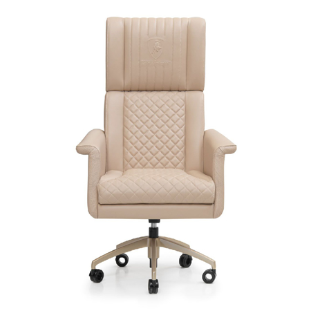 GT Supercarbon President Chair Daino col. Fudge