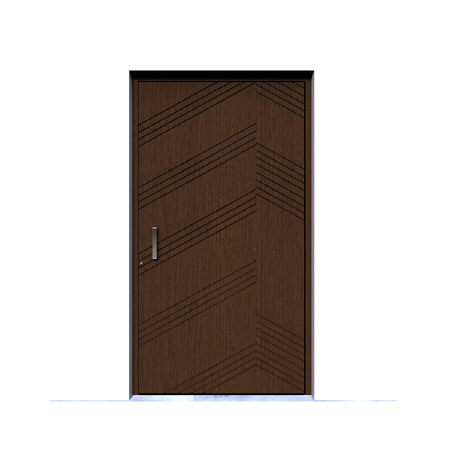 Pivot Entrance Door Kentucky