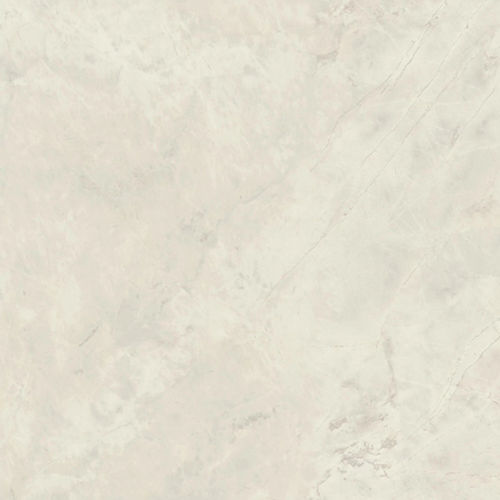 Marvel X Calacatta Perla Polished Rectified 48" x 48"