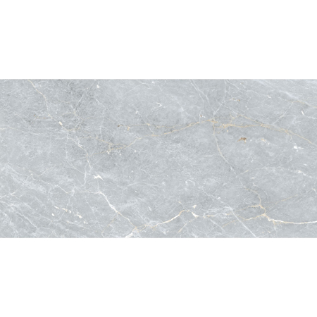 Marmo Grigio 24" x 48" Natural Glossy Porcelain Tile