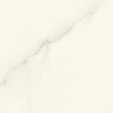 Marvel X Calacatta Apuano Matt Rectified 24" x 24"