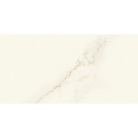 Marvel X Calacatta Apuano Polished Rectified 12" x 24"