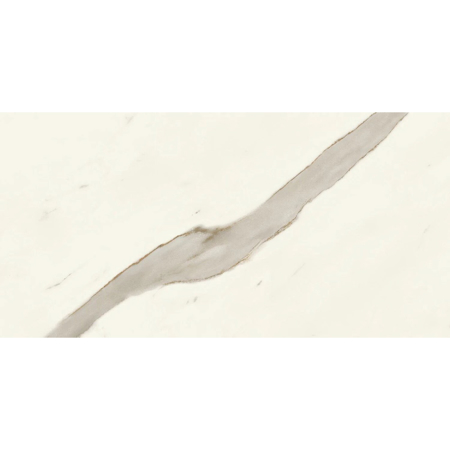 Marvel X Calacatta Sublime Matt Rectified 12" x 24"