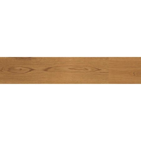 Exence Amber Matt Rectified 7" x 60"