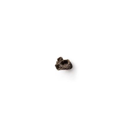 Ocean Mussa Drawer Handle