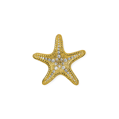 Ocean Linckia Drawer Handle