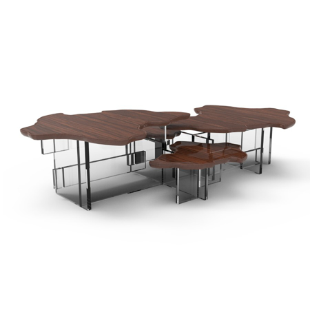 MONET PAU SANTO CENTER TABLE