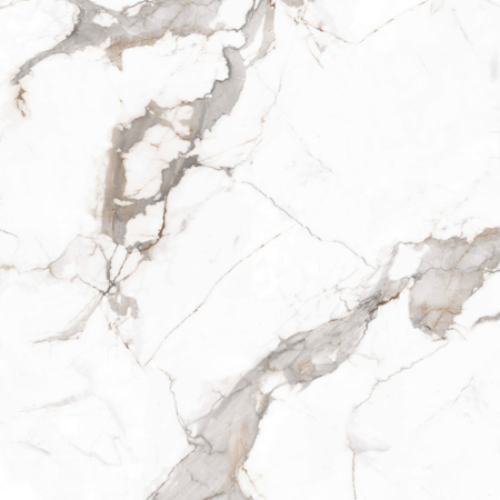 Calacatta Carrara 24'' x 48'' Matt Porcelain Tile