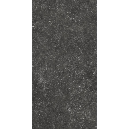 Italian Porcelain Tile Carrière du Kronos Namur 24"X48" 3/8" Natural
