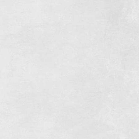 Noa White 24”x 48” Matt Rectified