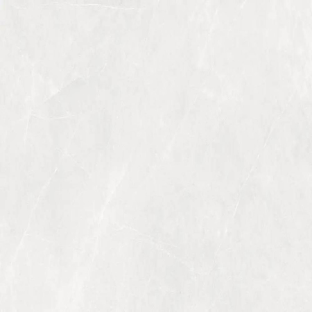 Rebel White 24”x 48” Matt Rectified