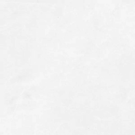 Cannes White 24”x 48” Matt Rectified