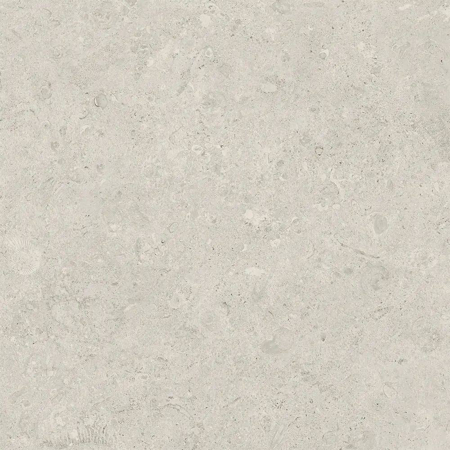 Coralstone Bianco 24”x 35” Matt Rectified Outdoor
