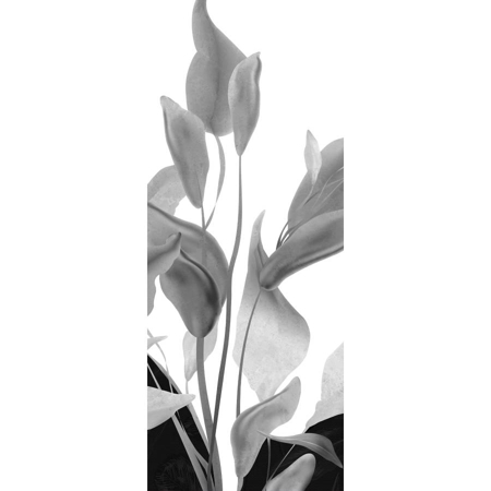 Fiori Di Luna 47,2"x118" Hond Porcelain Tile