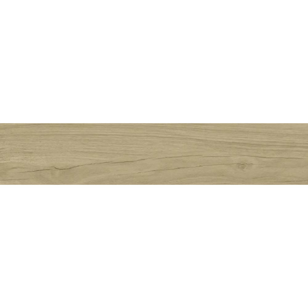 Bosland Honey 24”x 48” Matt Rectified