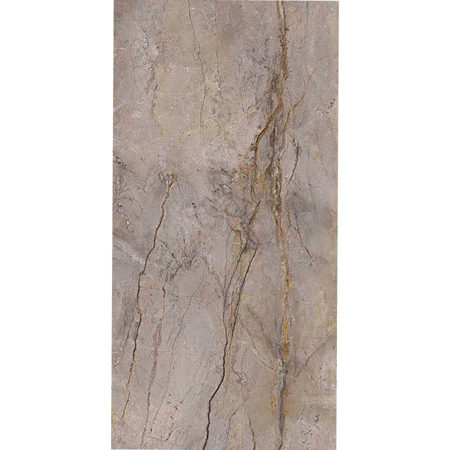 Wild Forest Grey Polished 23.45"x46.97" Porcelain Tile