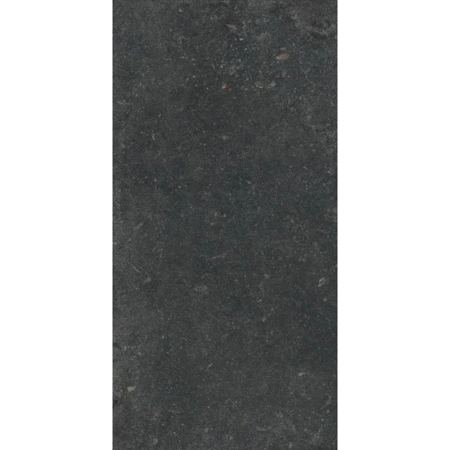 Stone Revolution Pierre Bleue 24”x48” 5/16" Porcelain Tile