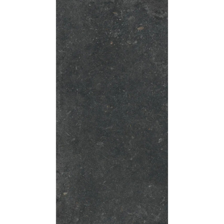 Stone Revolution Pierre Bleue 12”x24” 5/16" Porcelain Tile