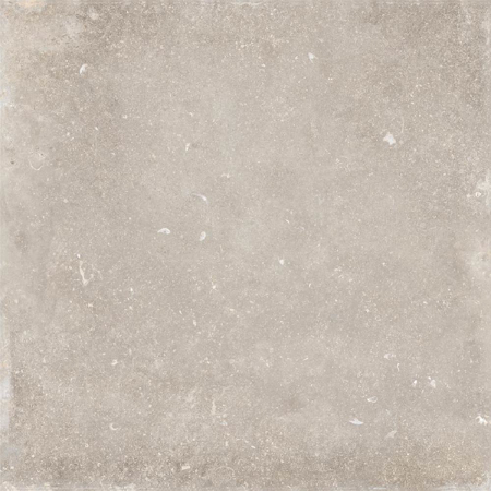 Italian Porcelain Tile Evolution Évo Greyge 40"X40" 3/8" Natural