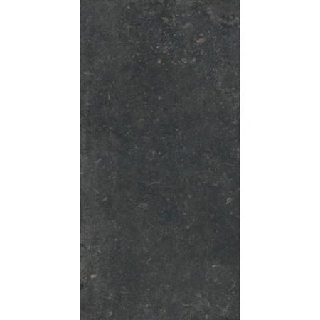 Stone Revolution Pierre Bleue 12”x48” 5/16" Porcelain Tile