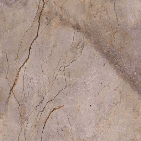 Wild Forest Grey 48"x48", 1/4" Polished Mix Porcelain Tile