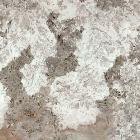 Patagonia Grey 40"x40", 1/4" Polished Porcelain Tile