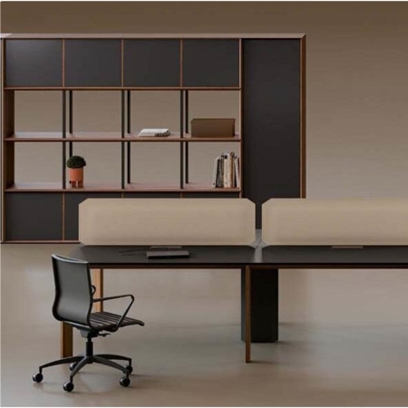 Alis Shared Office Desks
